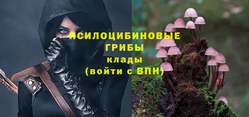 Галлюциногенные грибы Magic Shrooms  Кропоткин 